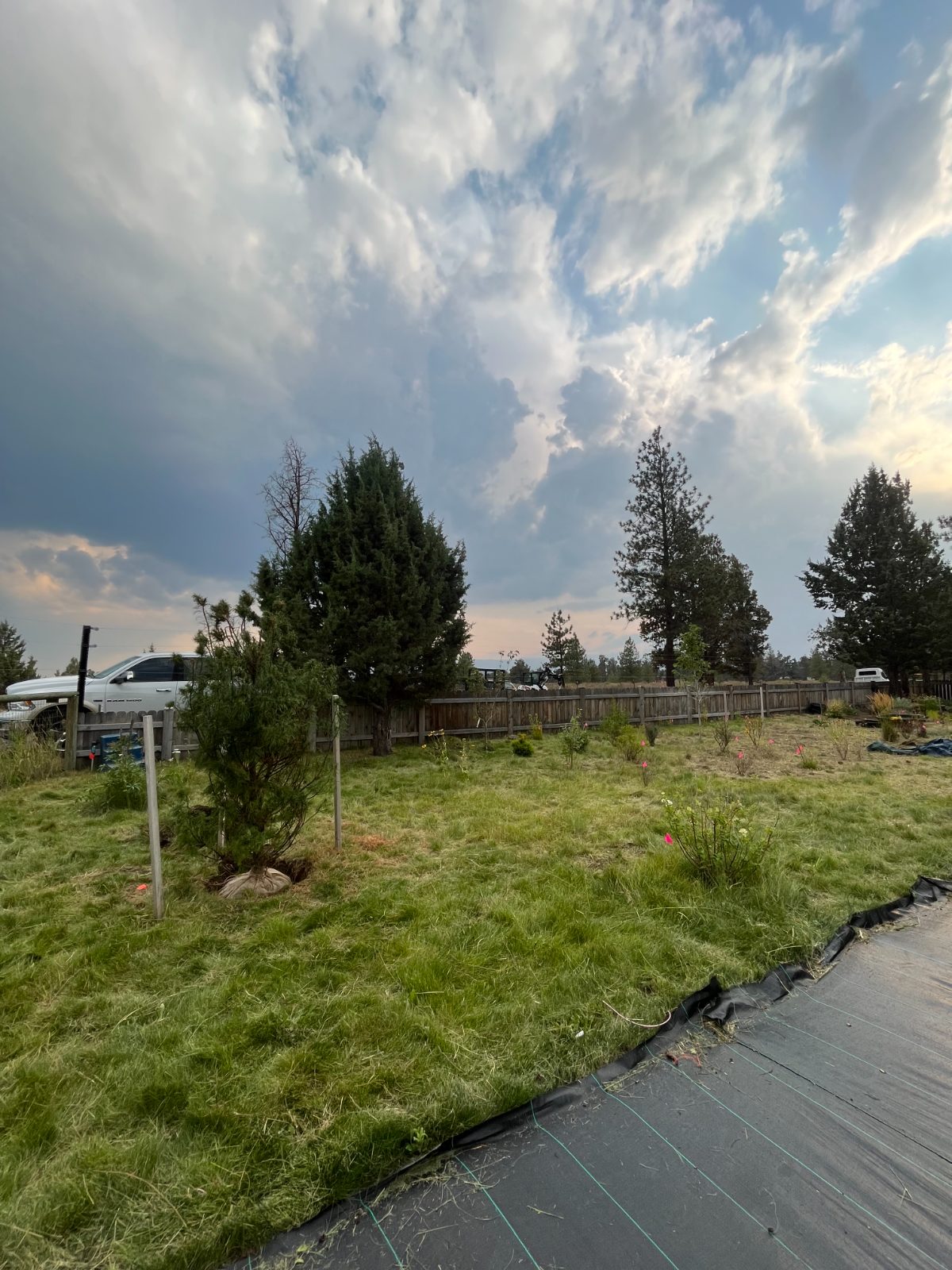 Cleared, freshly planted yard under a big Central Oregon sky